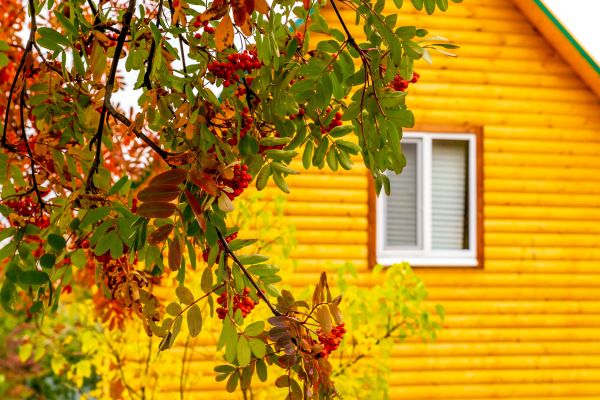 Garden Window Replacement in Easthampton